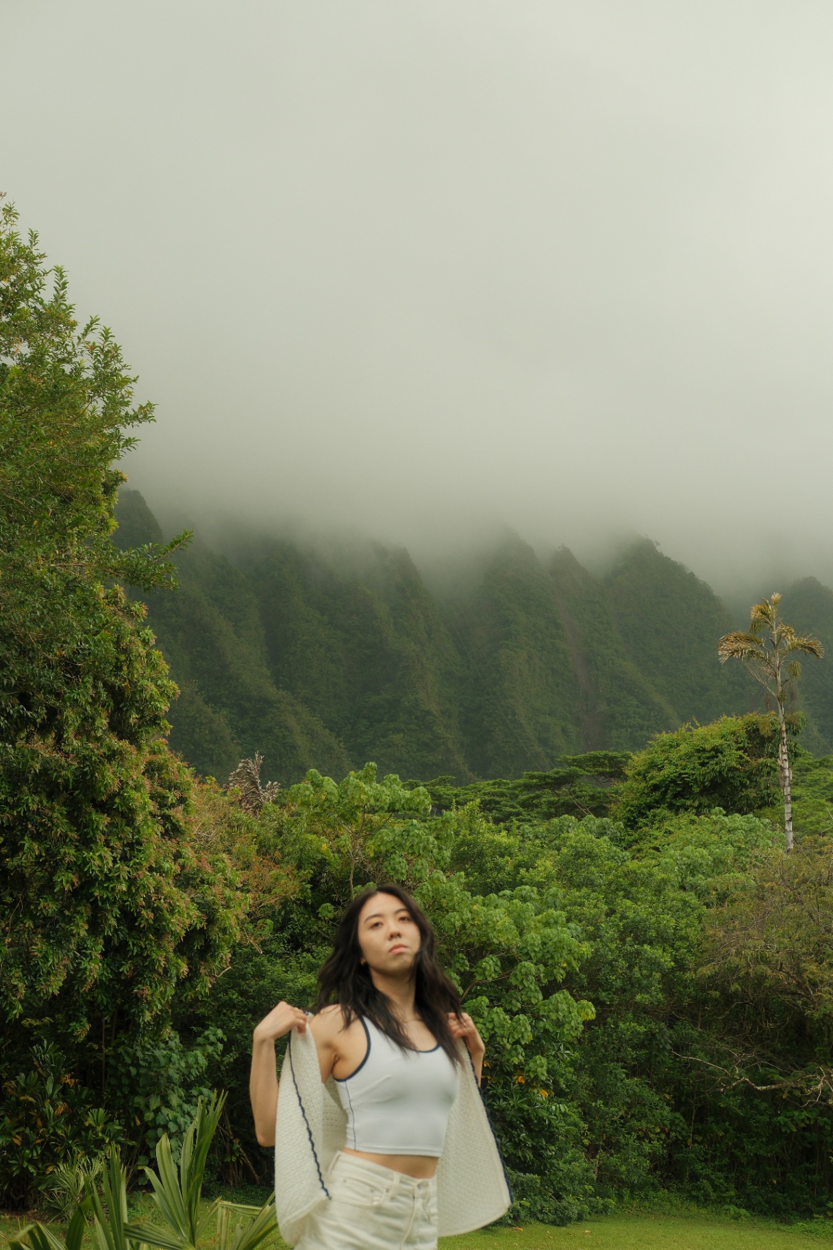 Ko'olau in the mist